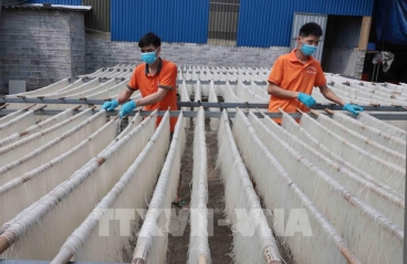 Làng nghề giữ lửa truyền thống bằng công nghệ số